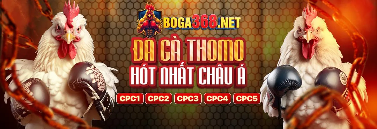 Sân đấu đá gà trực tuyến Wstar777