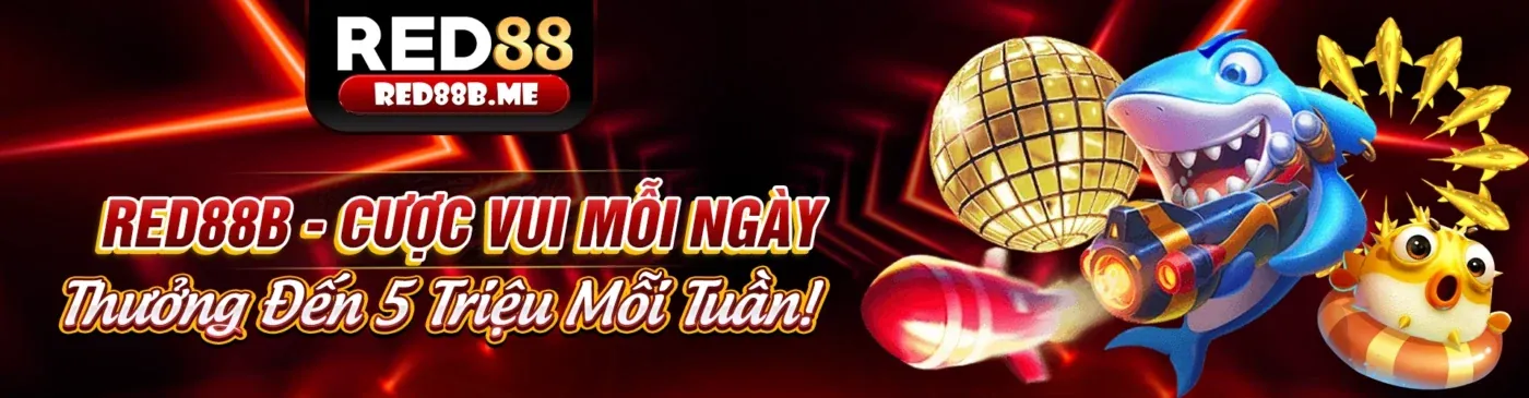 Hình ảnh chính của Blog Wstar777 Trang Chủ